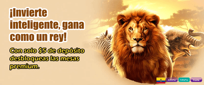 Bonos exclusivos para Ecuador