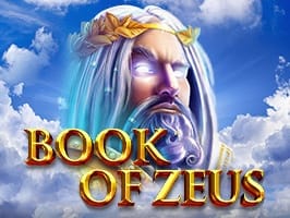 Book of Zeus screenshot